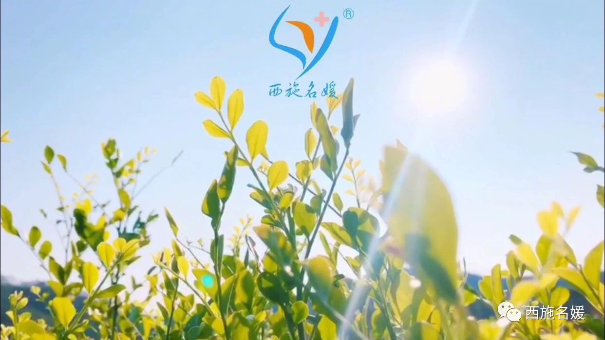 讓我們攜手堅持，靜待相逢時。