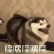 雙節(jié)同慶丨福利真是太太太太感人了！