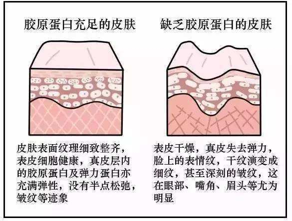 一篇大實(shí)話丨讀懂年輕五歲，速來圍觀
